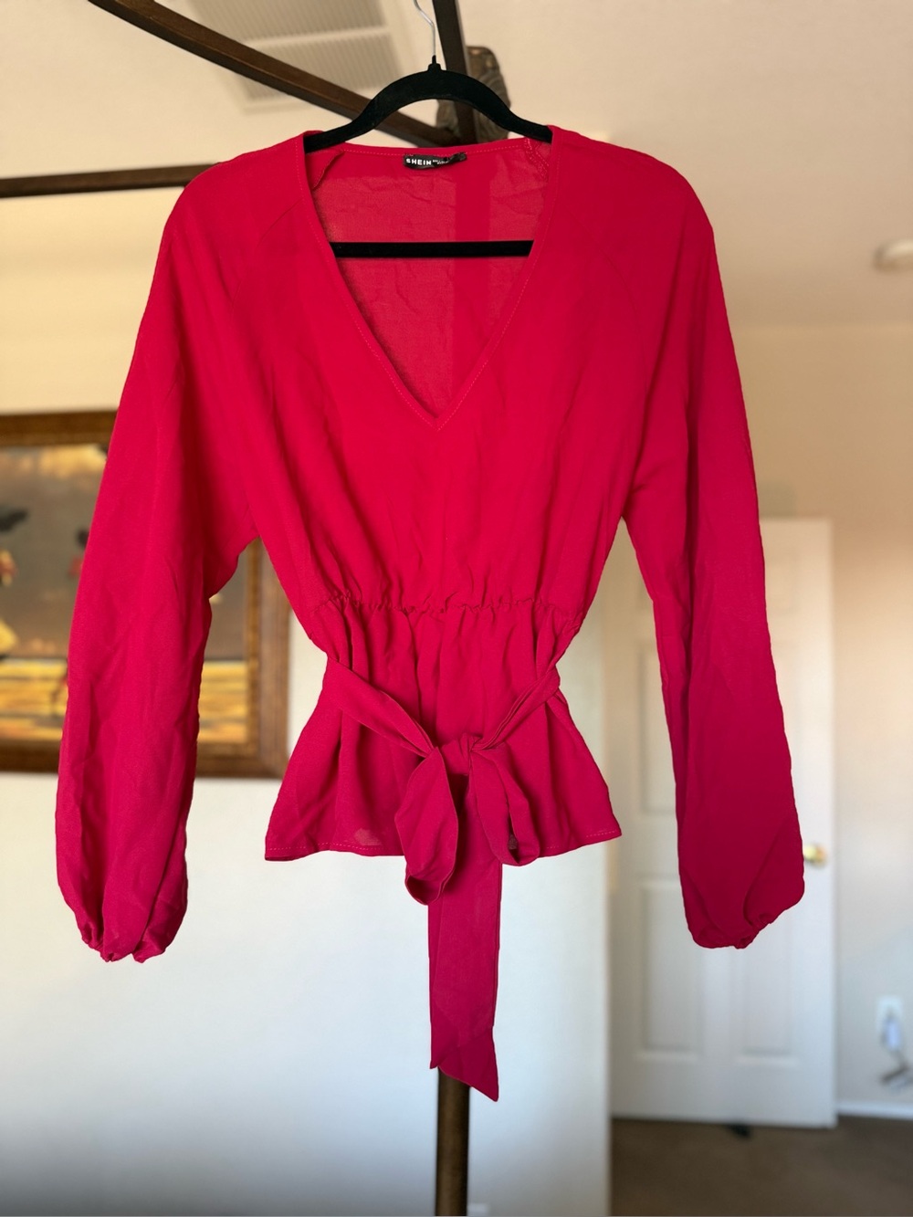 SHEIN V-Neck Tie-Waist Blouse